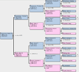 Genealogy Tree